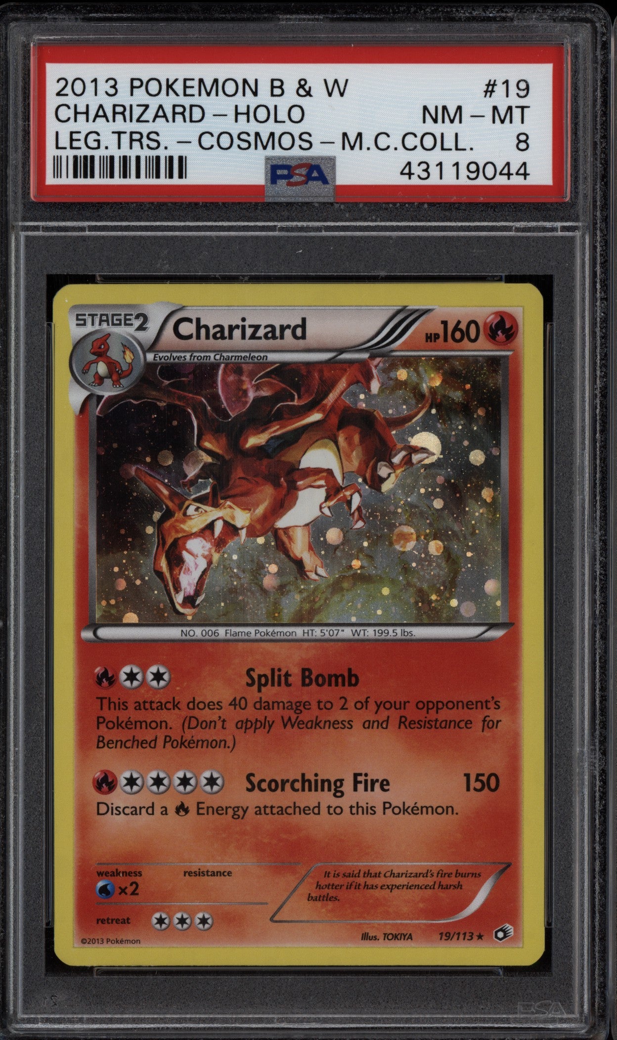 Charizard 2013 Pokemon Black & White Legendary Treasures Holo Mega 19/113 PSA 8