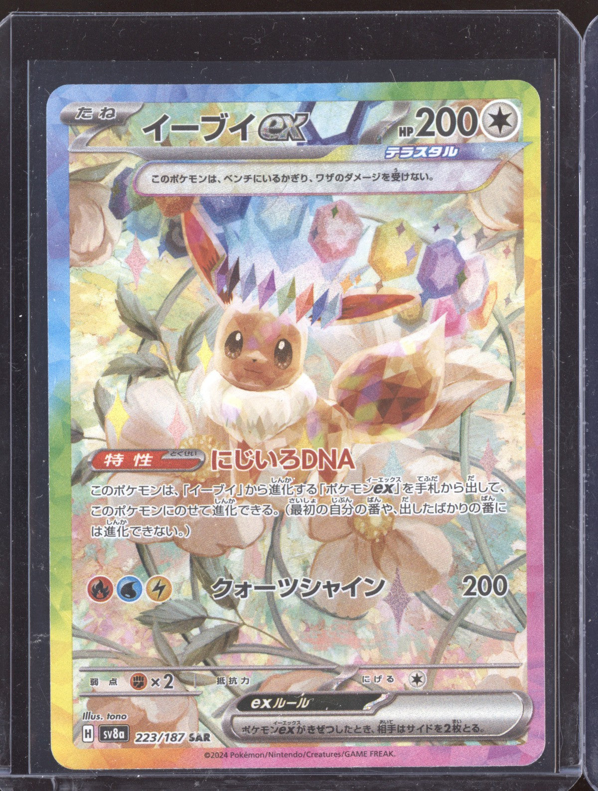 Eevee ex 2024 Pokemon Terastal Festival ex Japanese Special Art Rare 223/187