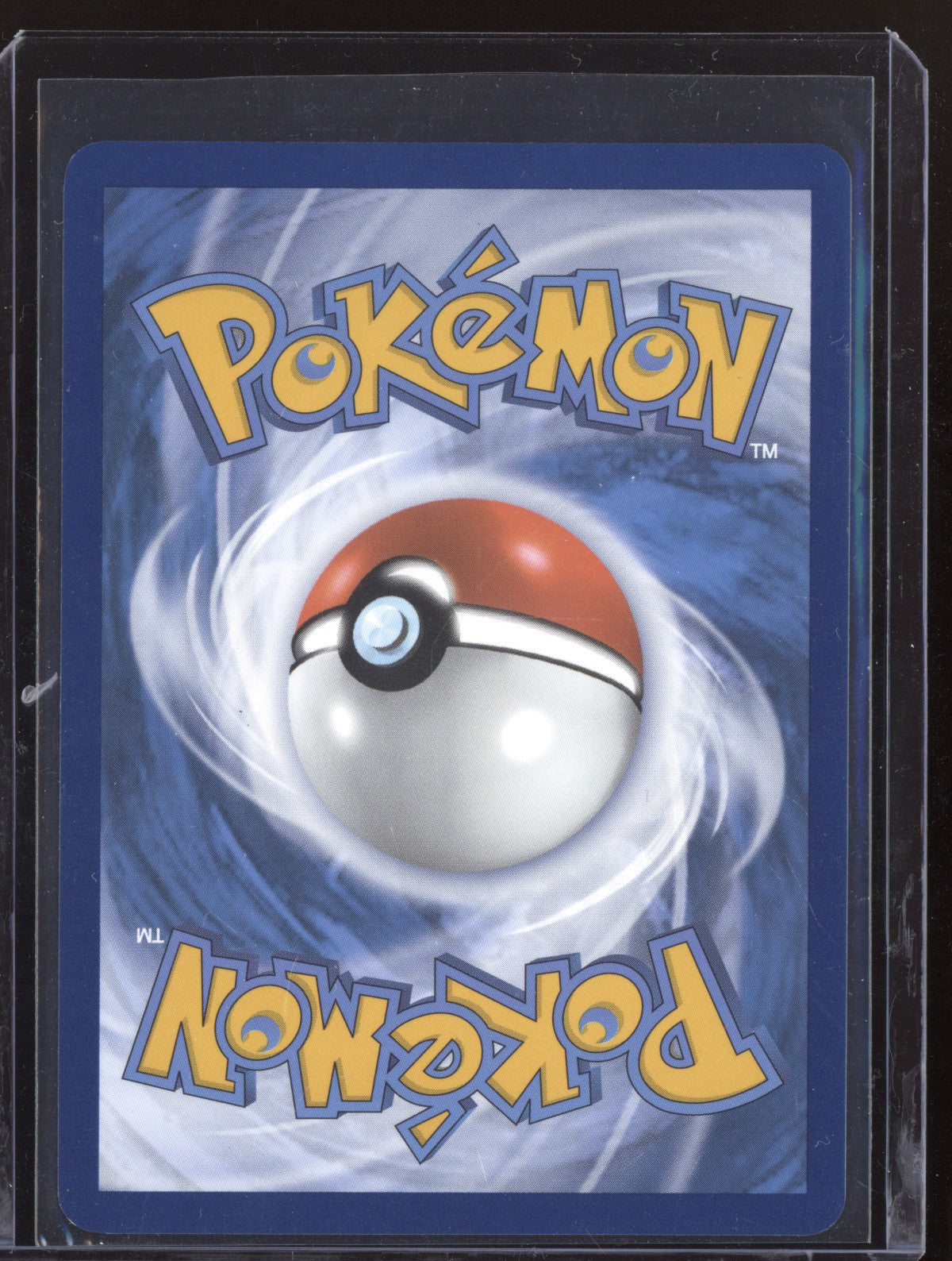 Skwovet 2024 Pokemon Paldean Fates Shiny Rare 205/091