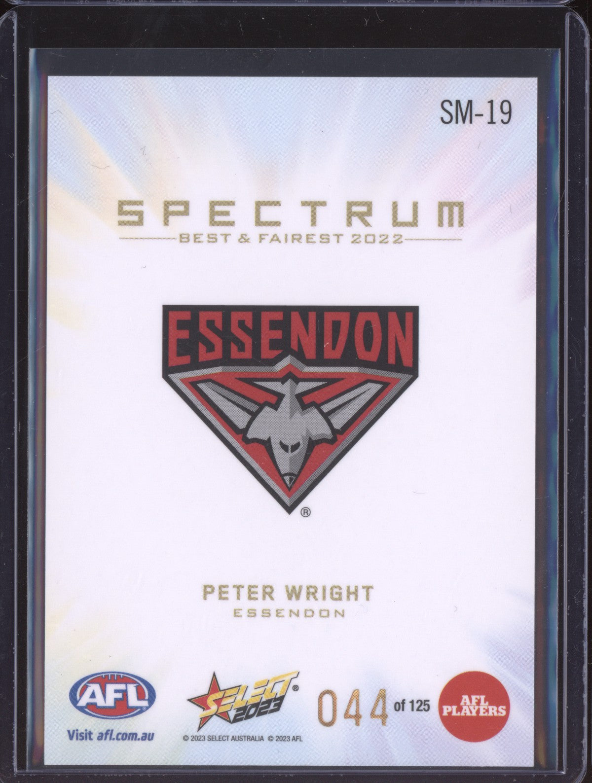 Peter Wright 2023 Select Spectrum 44/125