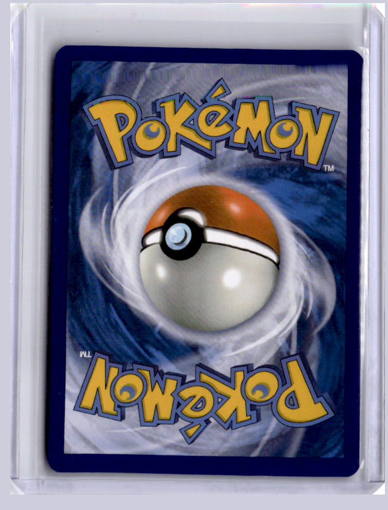 Raboot 2024 Pokemon Stellar Crown Illustration Rare 147/142