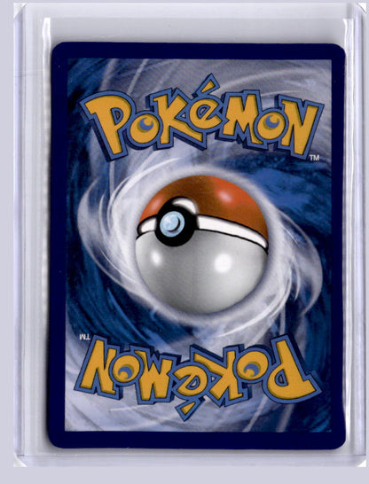 Zamazenta V 2023 Pokemon Sword & Shield Promos Promo SWSH293