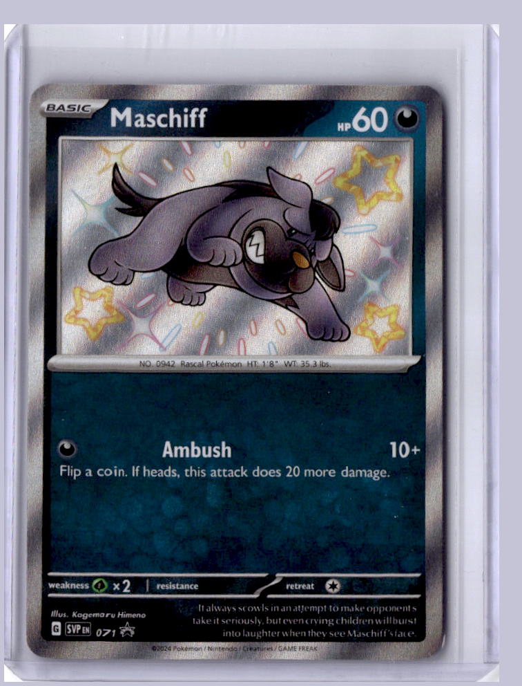 Maschiff 2023 Pokemon Scarlet & Violet Promos  SVP 071