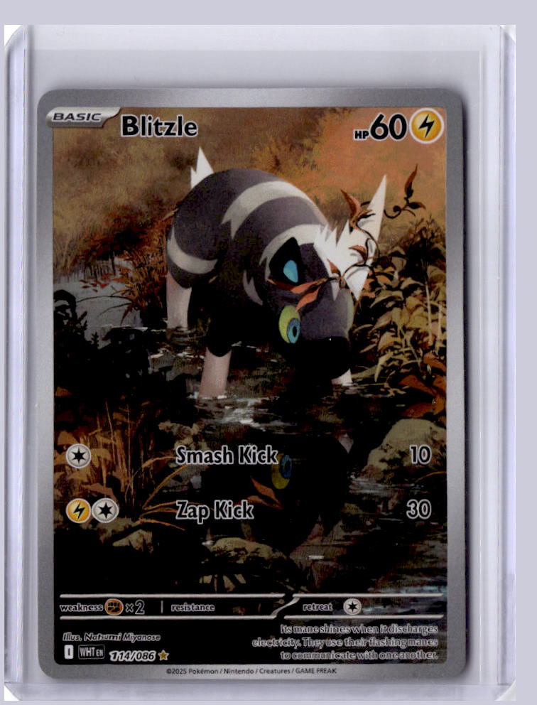 Blitzle 2025 Pokemon White Flare Illustration Rare 114/086