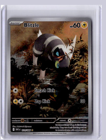 Blitzle 2025 Pokemon White Flare Illustration Rare 114/086