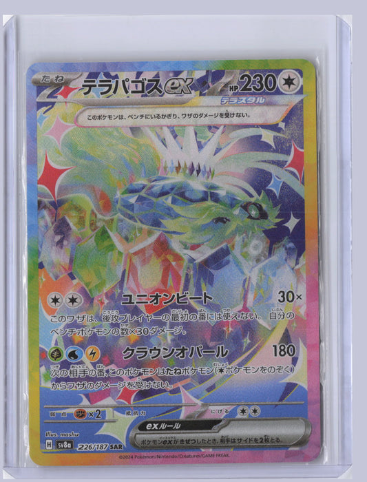 Terapagos ex Pokemon SV8A Terastal Festival ex Japanese SV8A 2024 SAR 226/187