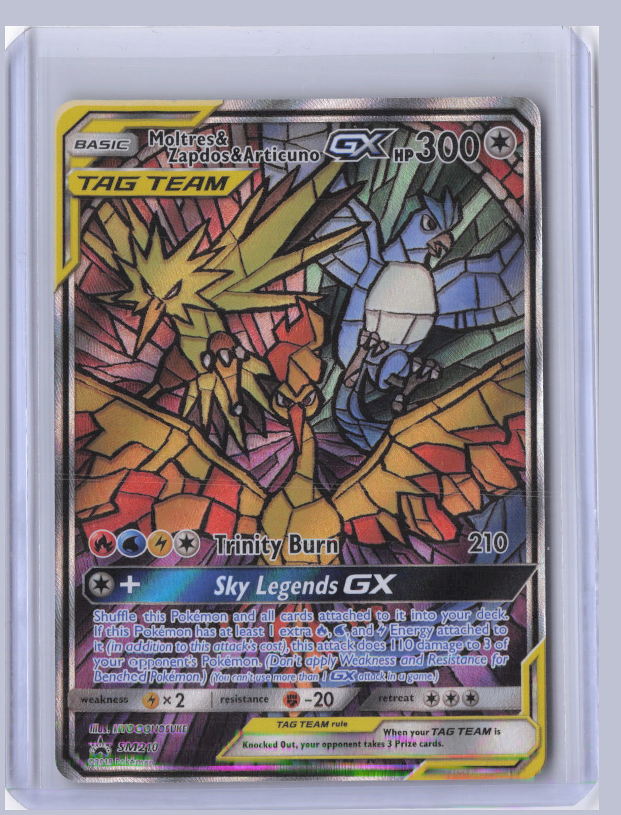Moltres & Zapdos & Articuno-GX Pokemon Sun & Moon Promos SMP 2019 Promo SM210/