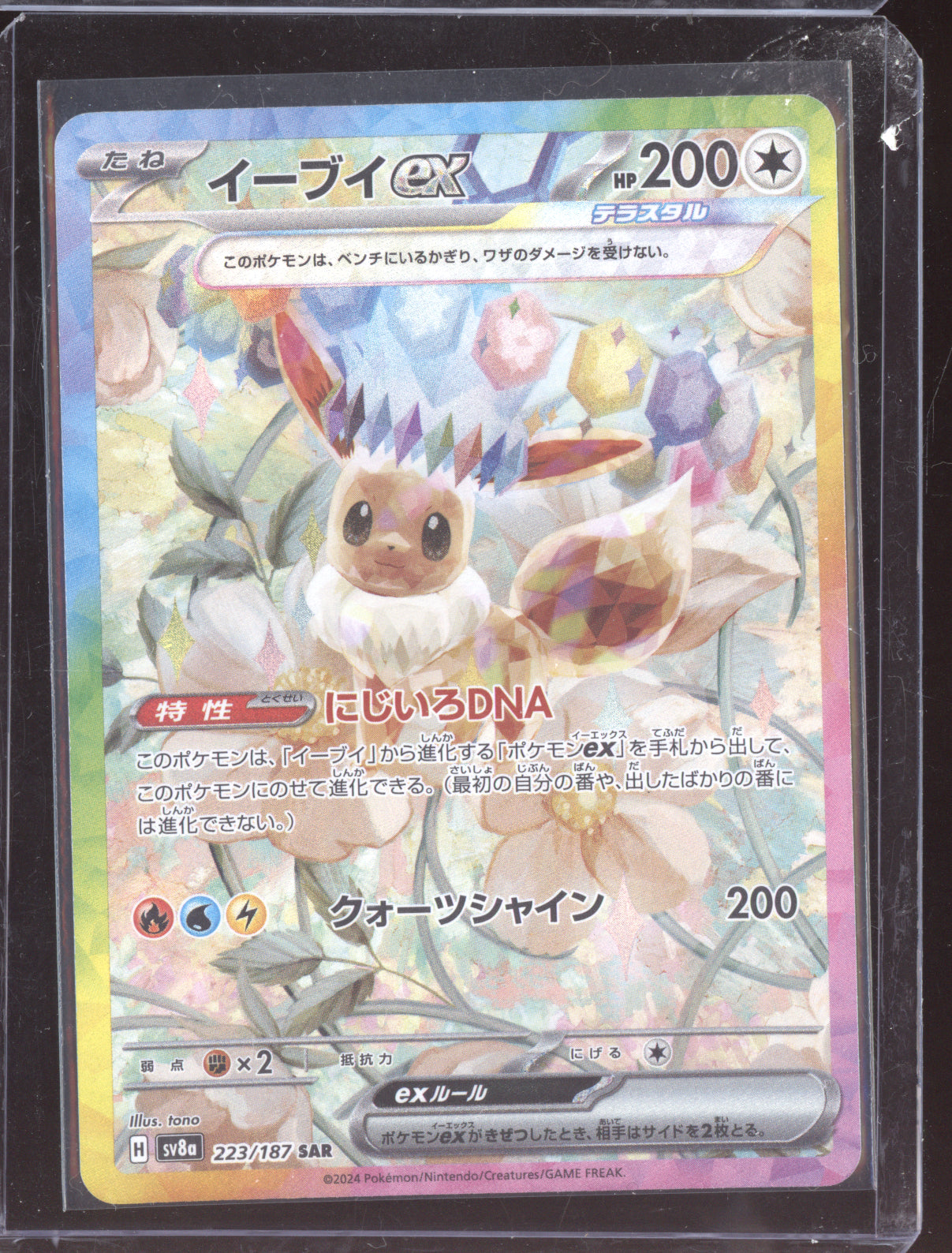 Eevee ex 2024 Pokemon SV8A Terastal Festival ex Japanese Special Art Rare 223