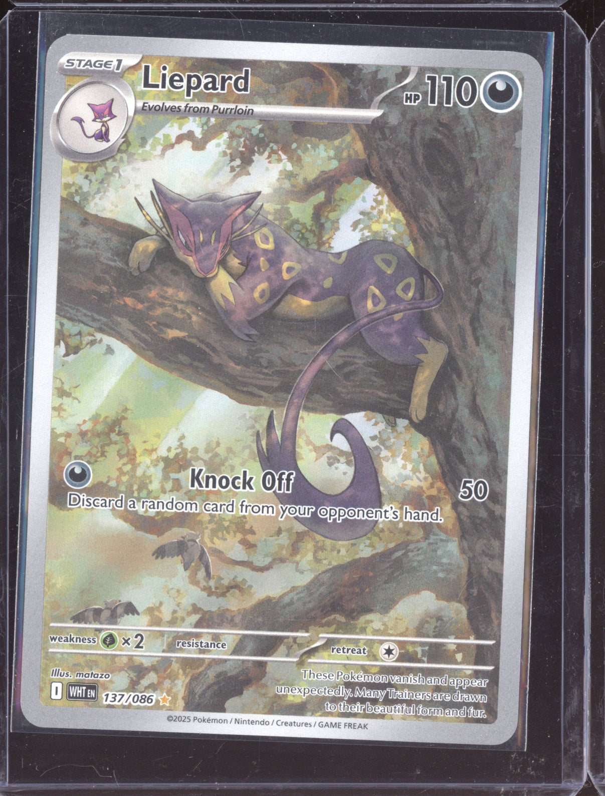 Liepard 2025 Pokemon White Flare Illustration Rare 137/086