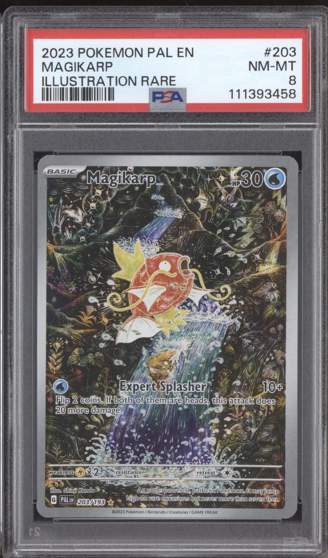 Magikarp 2023 Pokemon Paldea Evolved Illustration Rare 203/193 PSA 8