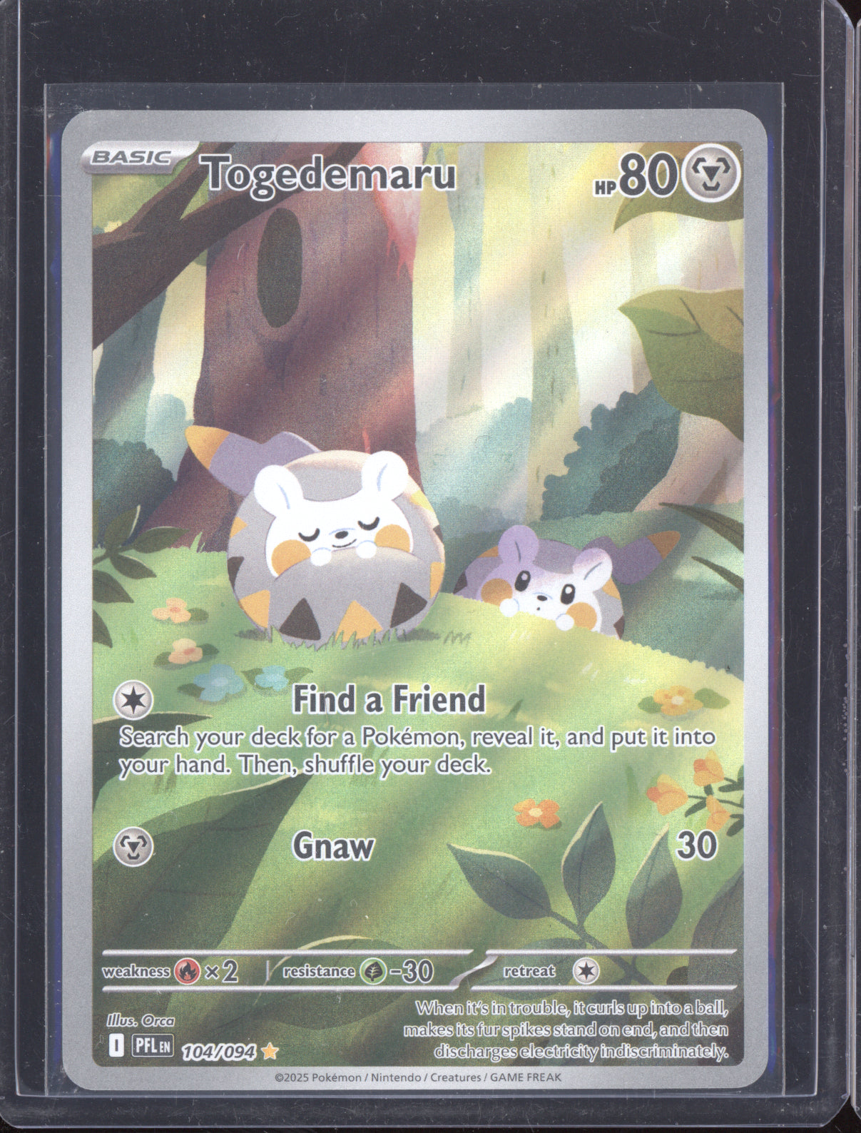 Togedemaru 2025 Pokemon Phantasmal Flames Illustration Rare 104/094