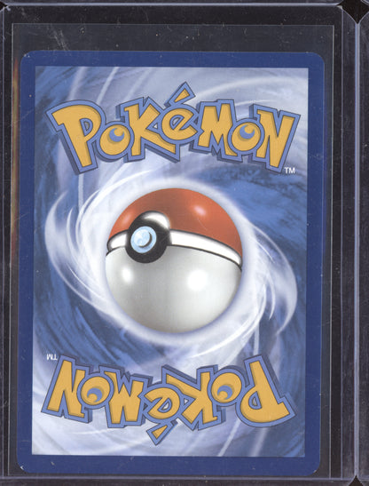 Turtwig Pokemon Crown Zenith CRZ 2023 Trainer Gallery Holo Rare GG31/GG70