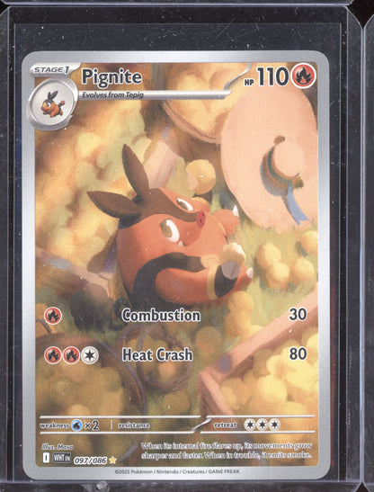 Pignite 2025 Pokemon White Flare Illustration Rare 097/086