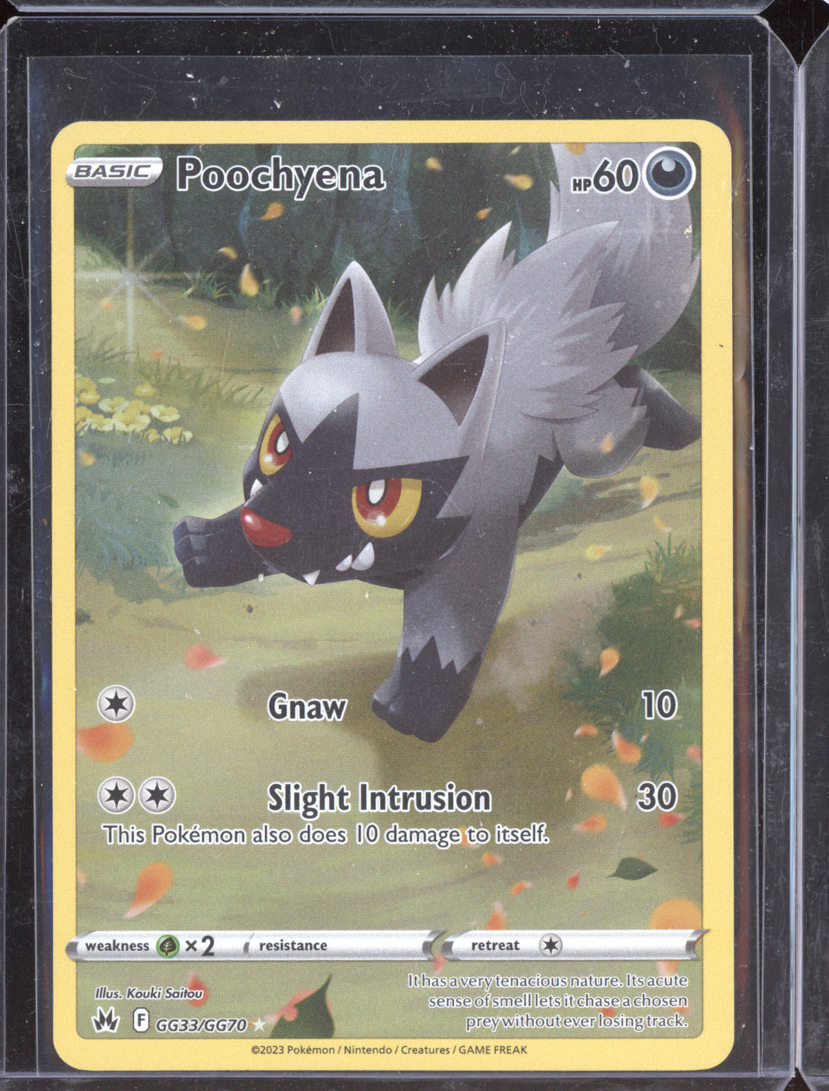 Poochyena 2023 Pokemon Crown Zenith Galarian Gallery GG33/GG70