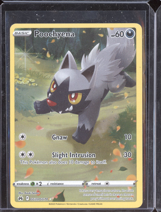 Poochyena 2023 Pokemon Crown Zenith Galarian Gallery GG33/GG70
