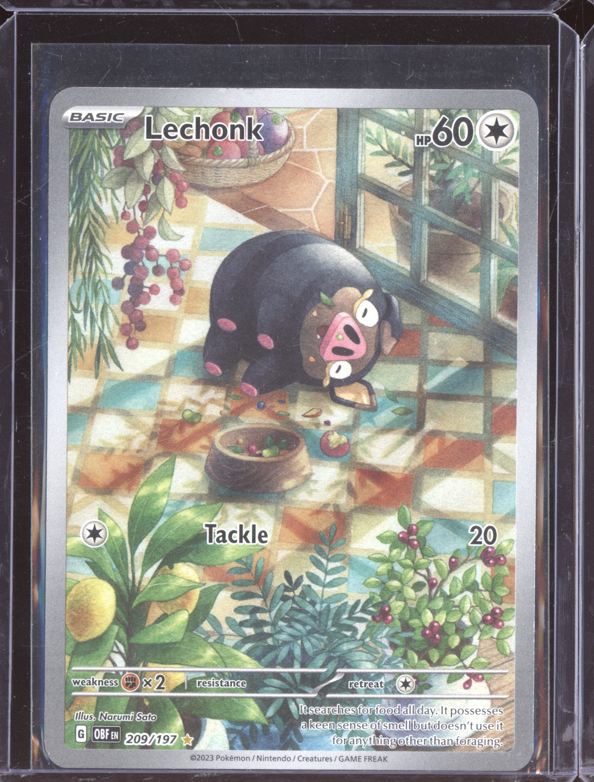 Lechonk 2023 Pokemon Obsidian Flames Illustration Rare 209/197