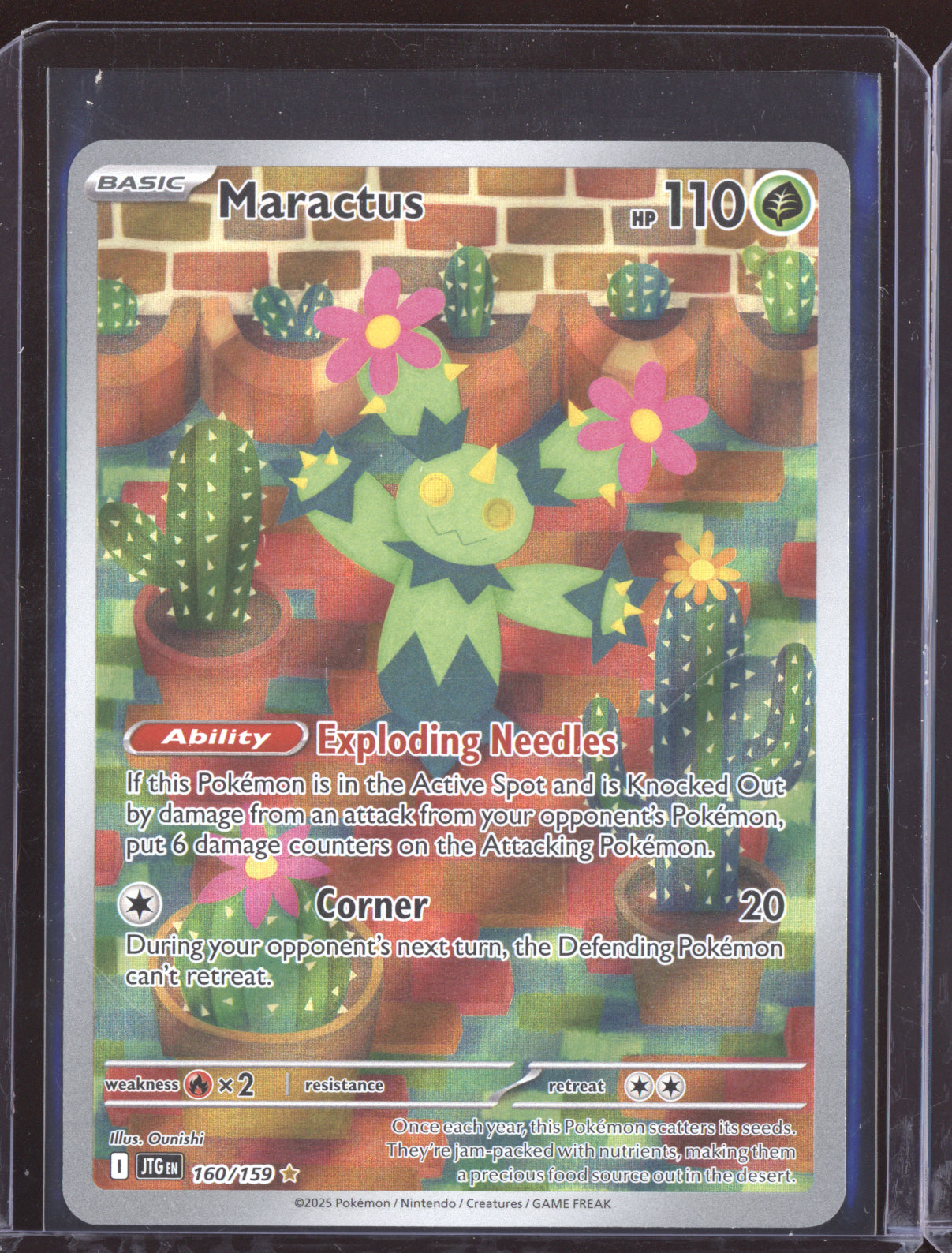 Maractus 2025 Pokemon Journey Together  160/180