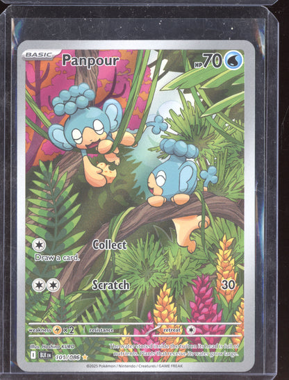 Panpour 2025 Pokemon Black Bolt Illustration Rare 101/086