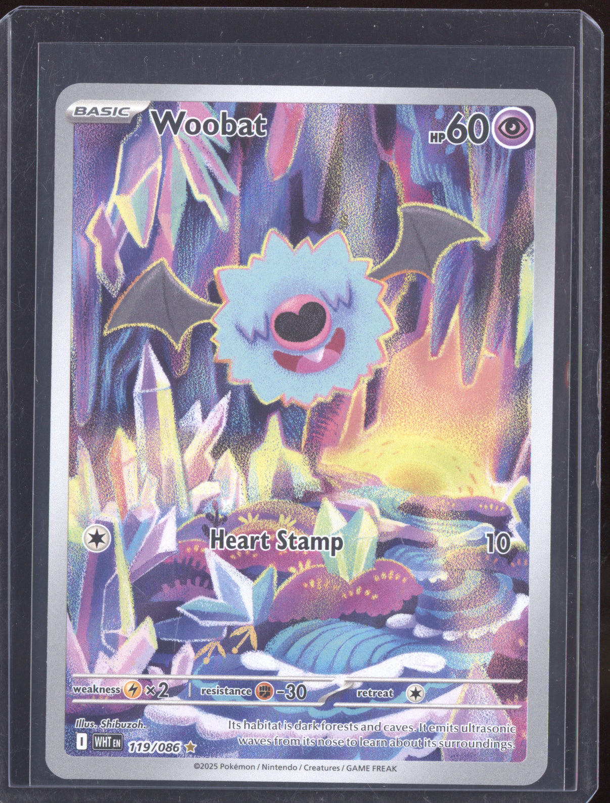 Woobat 2025 Pokemon White Flare Illustration Rare 119/086