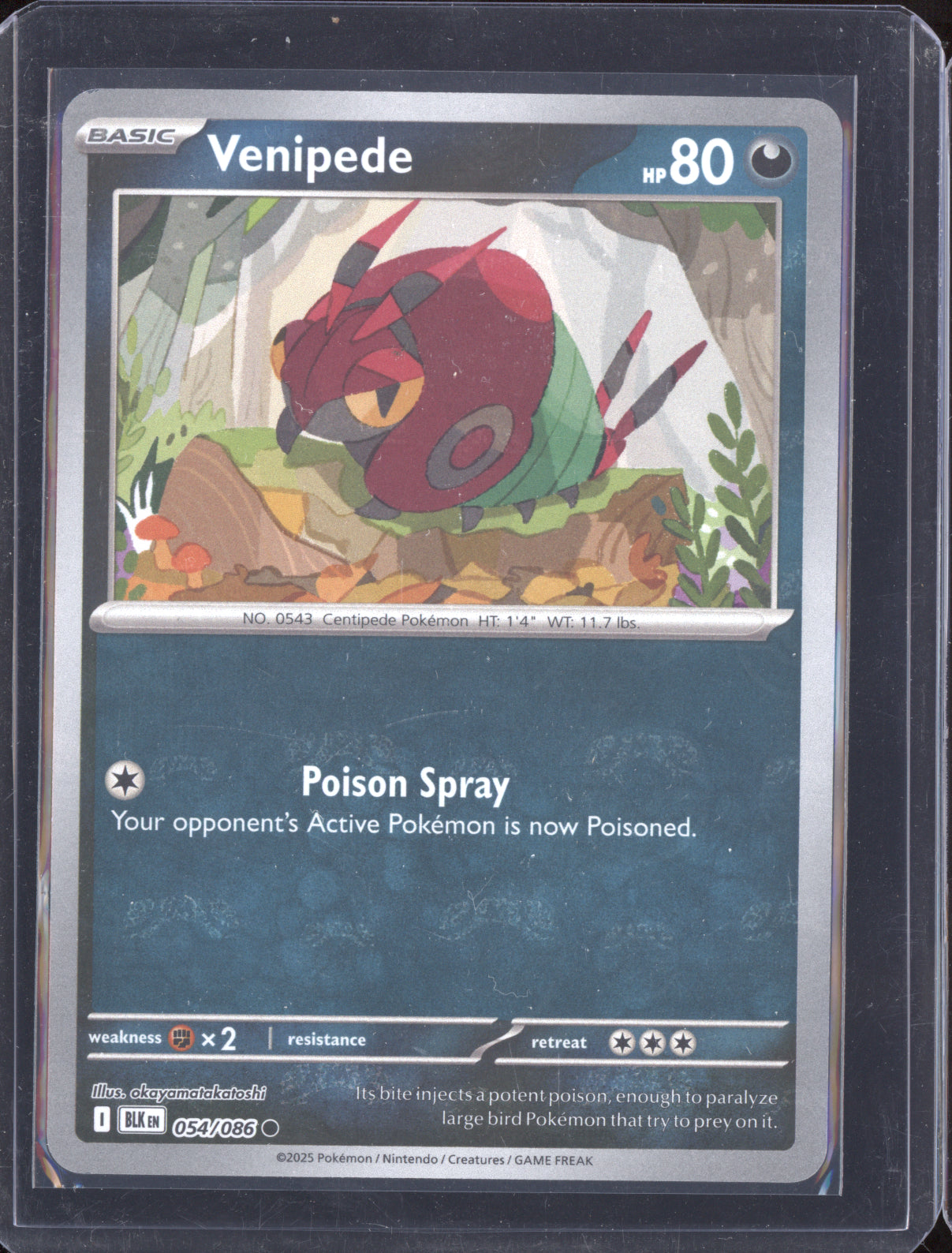 Venipede 2025 Pokemon Black Bolt Masterball Holo 054/086