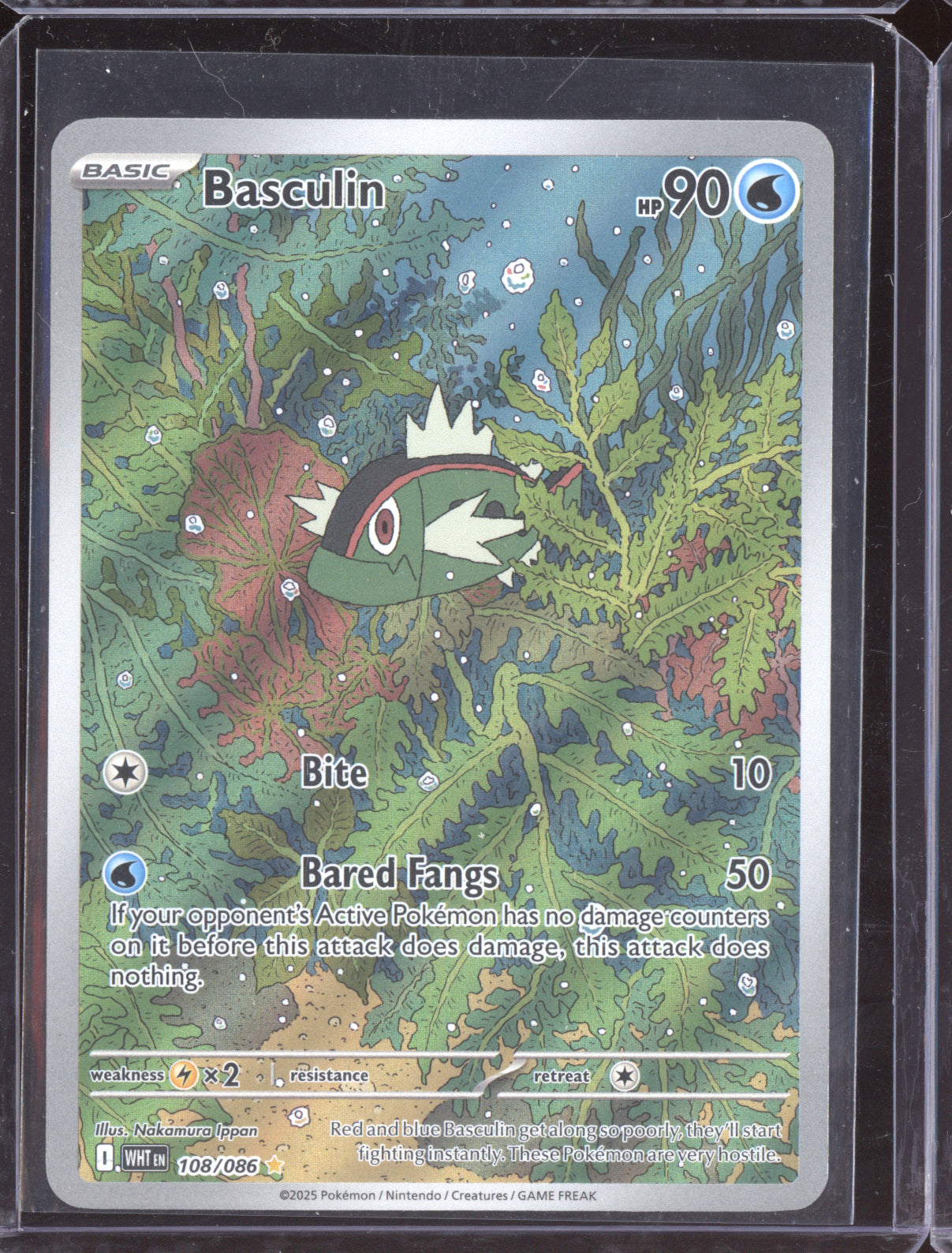Basculin 2025 Pokemon White Flare Illustration Rare 108/086