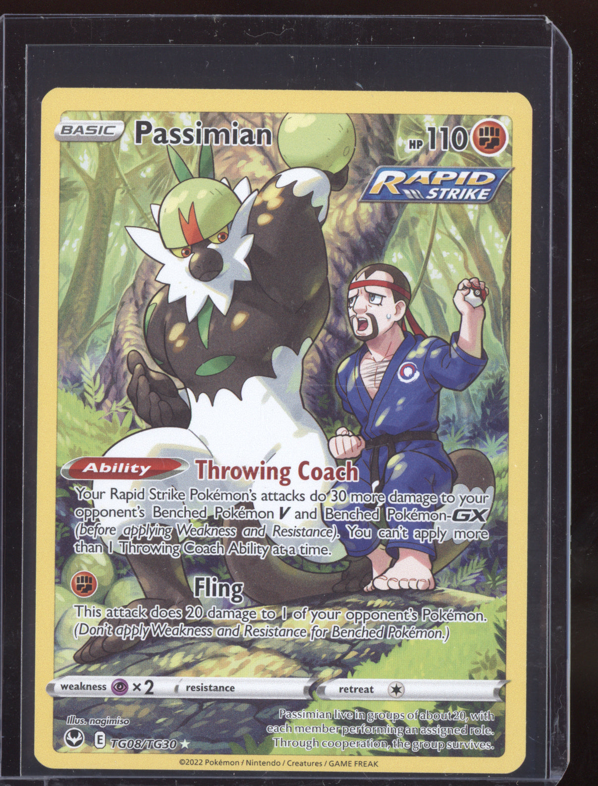 Passimian 2022 Pokemon Silver Tempest Trainer Gallery Holo Rare TG08/TG30