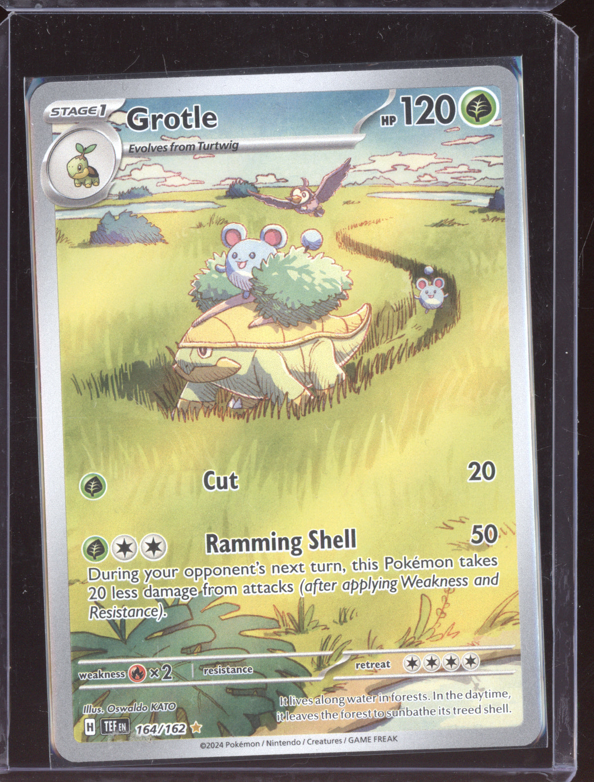 Grotle 2024 Pokemon Temporal Forces Illustration Rare 164/162