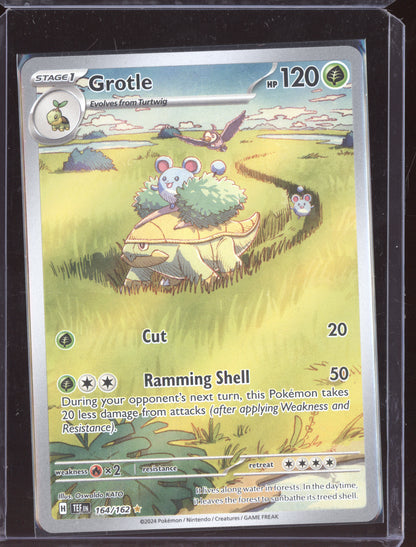 Grotle 2024 Pokemon Temporal Forces Illustration Rare 164/162