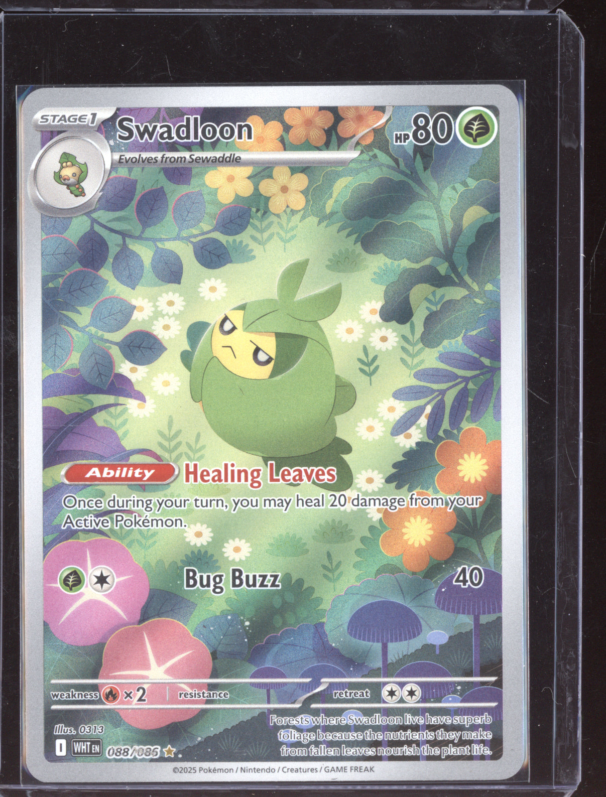 Swadloon 2025 Pokemon White Flare Illustration Rare 088/086