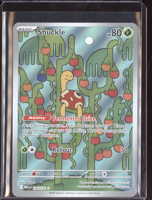 Shuckle 2025 Pokemon Mega Evolution Illustration Rare 136/132