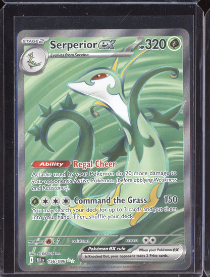 Serperior ex 2025 Pokemon Black Bolt Ultra Rare 156/086