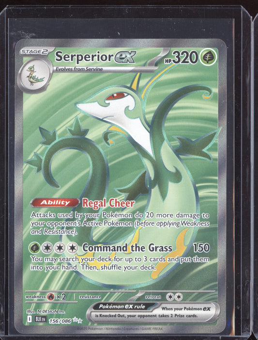 Serperior ex 2025 Pokemon Black Bolt Ultra Rare 156/086