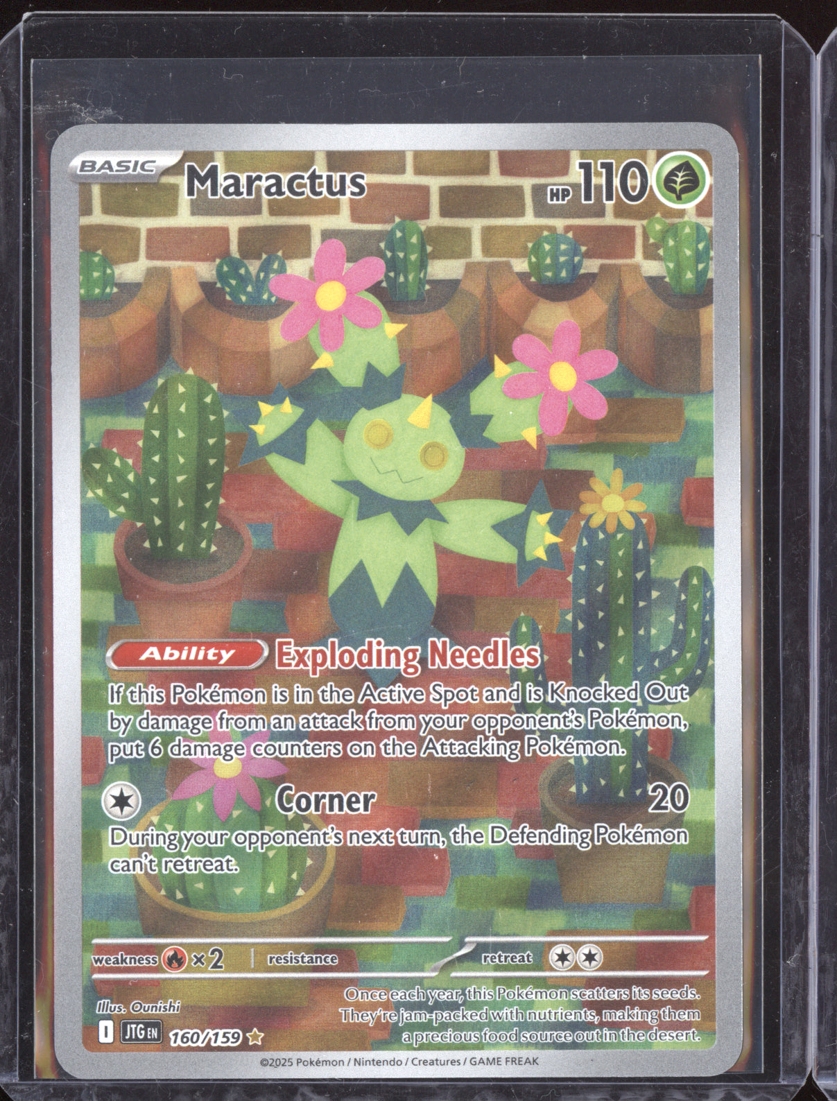 Maractus 2025 Pokemon JTG EN Journey Together Illustration Rare 160