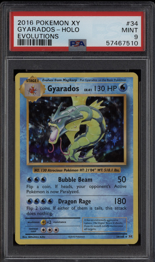 Gyarados 2016 Pokemon XY Evolutions Holo 34/108 PSA 9