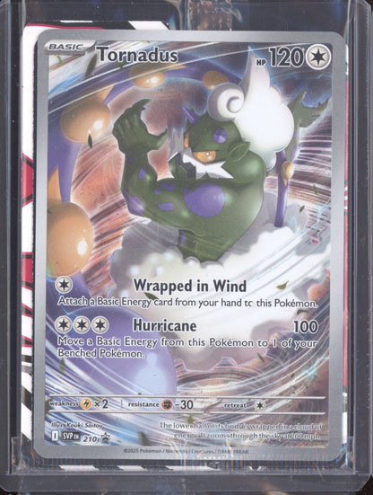 Tornadus 2025 Pokemon White Flare SVP 210 Promo