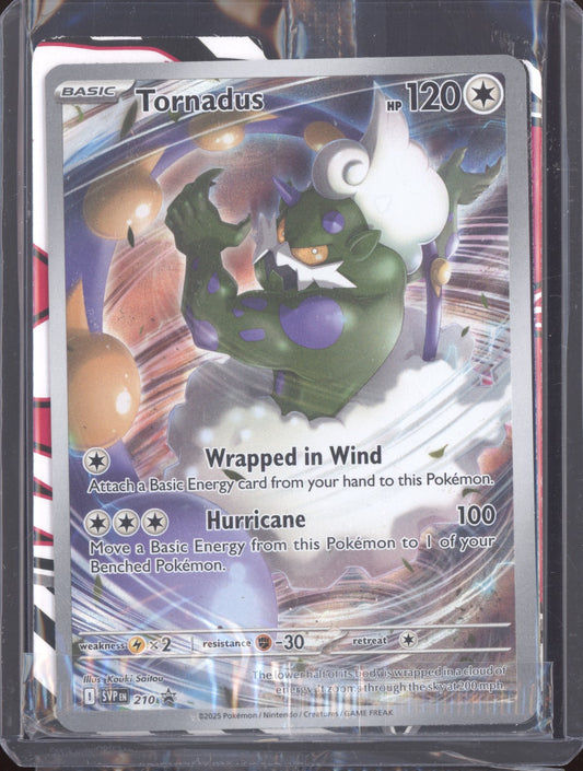 Tornadus 2025 Pokemon White Flare SVP 210 Promo