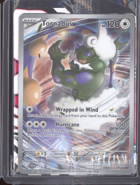 Tornadus 2025 Pokemon White Flare SVP 210 Promo