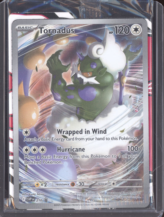 Tornadus 2025 Pokemon White Flare SVP 210 Promo