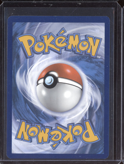 Skwovet 2023 Pokemon Scarlet & Violet Illustration Rare 222/198