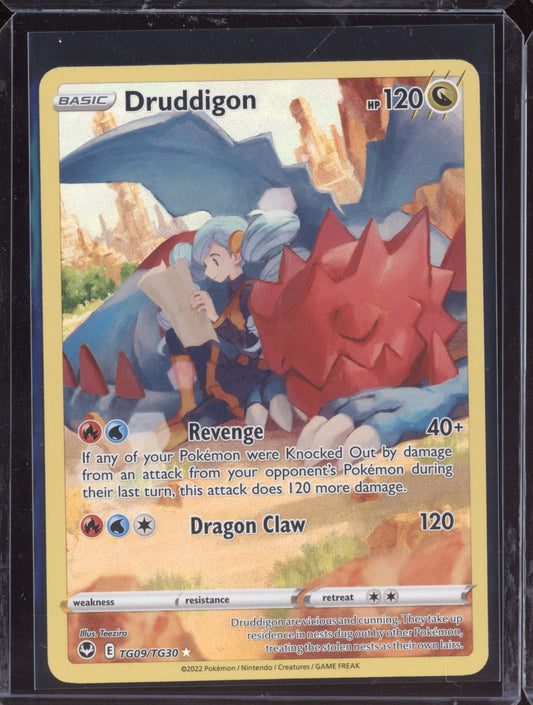 Druddigon 2022 Pokemon Silver Tempest Trainer Gallery Holo Rare TG09/TG30