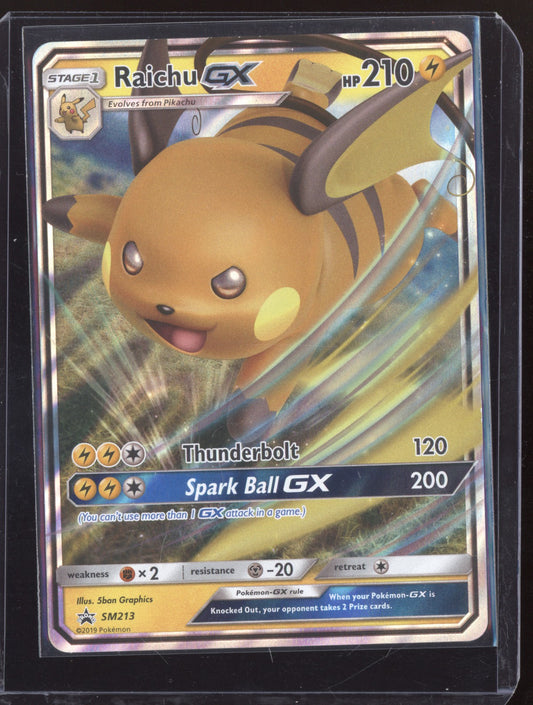 Raichu-GX 2019 Pokemon Sun & Moon Promos Promo SM213