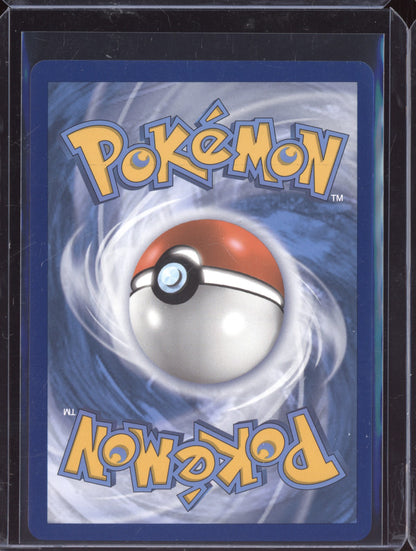 Raichu-GX 2019 Pokemon Sun & Moon Promos Promo SM213