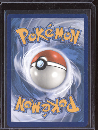 Houndoom V 2020 Pokemon Darkness Ablaze Holo Rare V 021/189