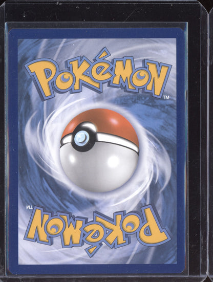Charizard V 2022 Pokemon Sword & Shield Promos Promo SWSH260