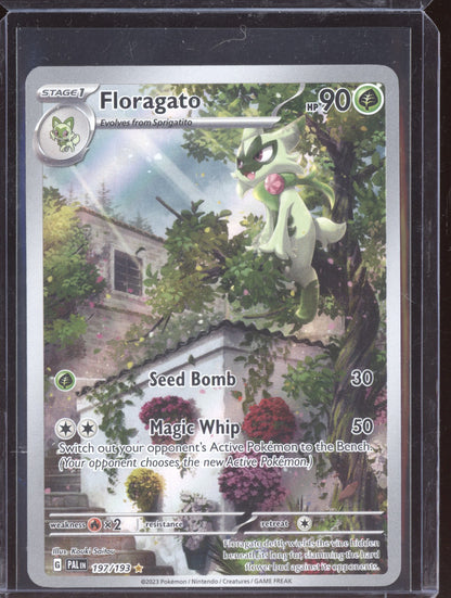 Floragato 2023 Pokemon Paldea Evolved Illustration Rare 197/193