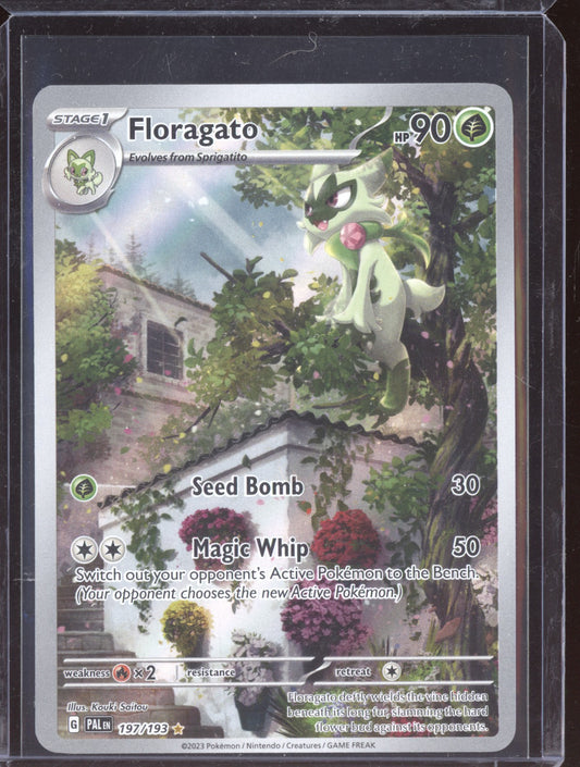 Floragato 2023 Pokemon Paldea Evolved Illustration Rare 197/193
