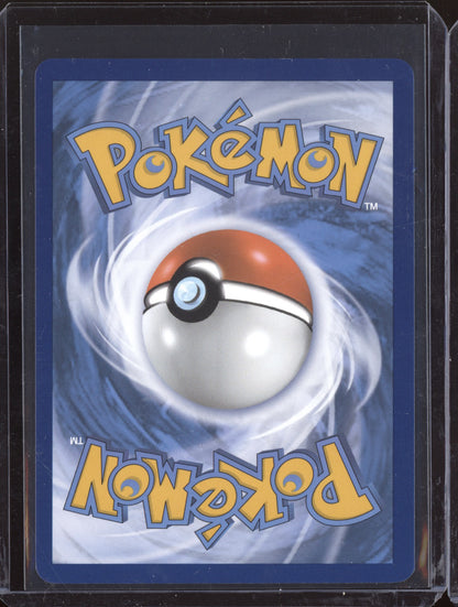 Squawkabilly ex 2023 Pokemon Paldea Evolved Ultra Rare 247/193
