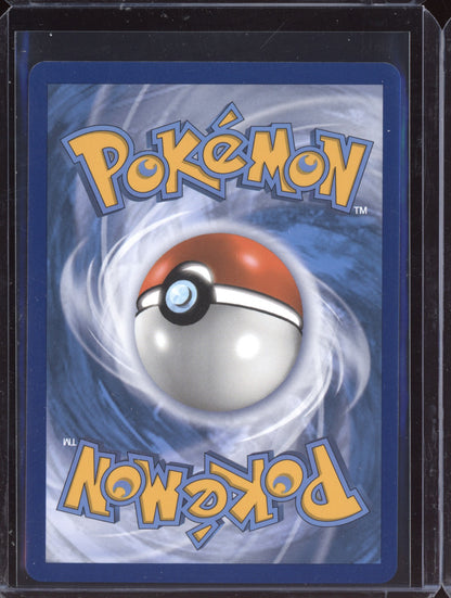 Togekiss VMAX 2020 Pokemon Vivid Voltage Holo Rare VMAX 141/185