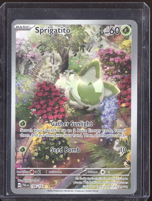 Sprigatito 2023 Pokemon Paldea Evolved Illustration Rare 196/193